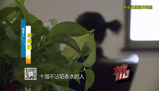 皇冠信用网会员开户申请
_“从小不缺钱皇冠信用网会员开户申请
，父母百依百顺”，53岁啃老女花光父亲遗产后，又盯上……