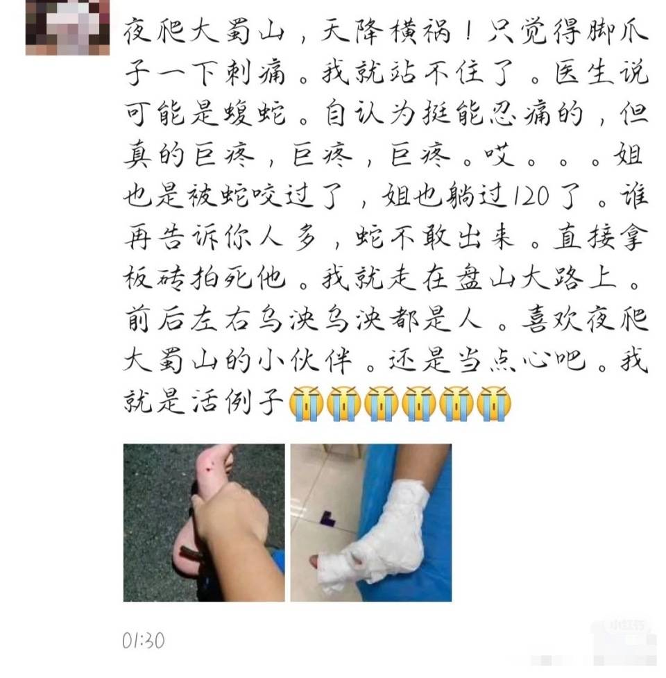 意大利甲组联赛_合肥一市民夜爬大蜀山被毒蛇咬伤 公园管理处呼吁：尽量避免夜间登山