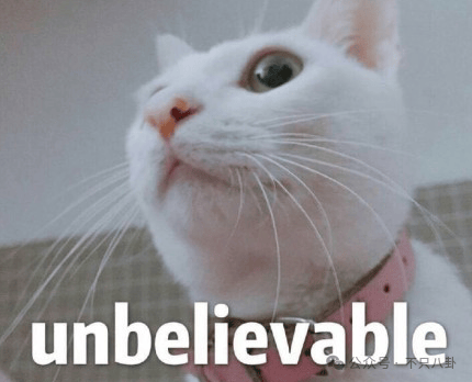 NBA篮球返水
_他俩没分手但被拍到吵架了NBA篮球返水
，吵得很凶......