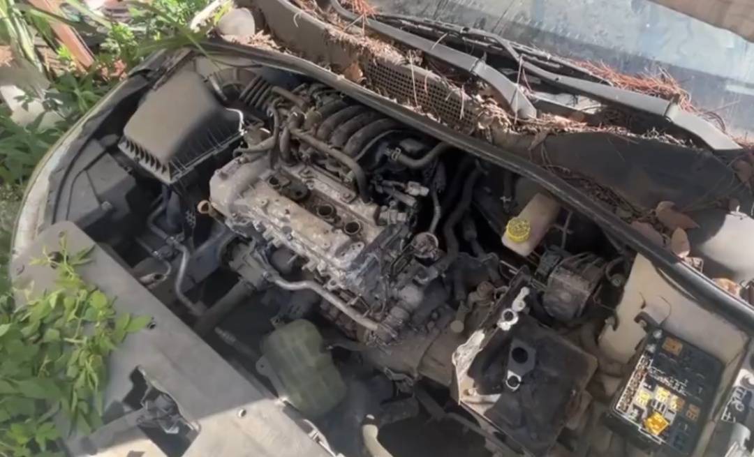 皇冠信用網代理申条件
_浙江男子把私家车停路边两年皇冠信用網代理申条件
，一次也没去看过！如今要用车时傻眼：还能这样？