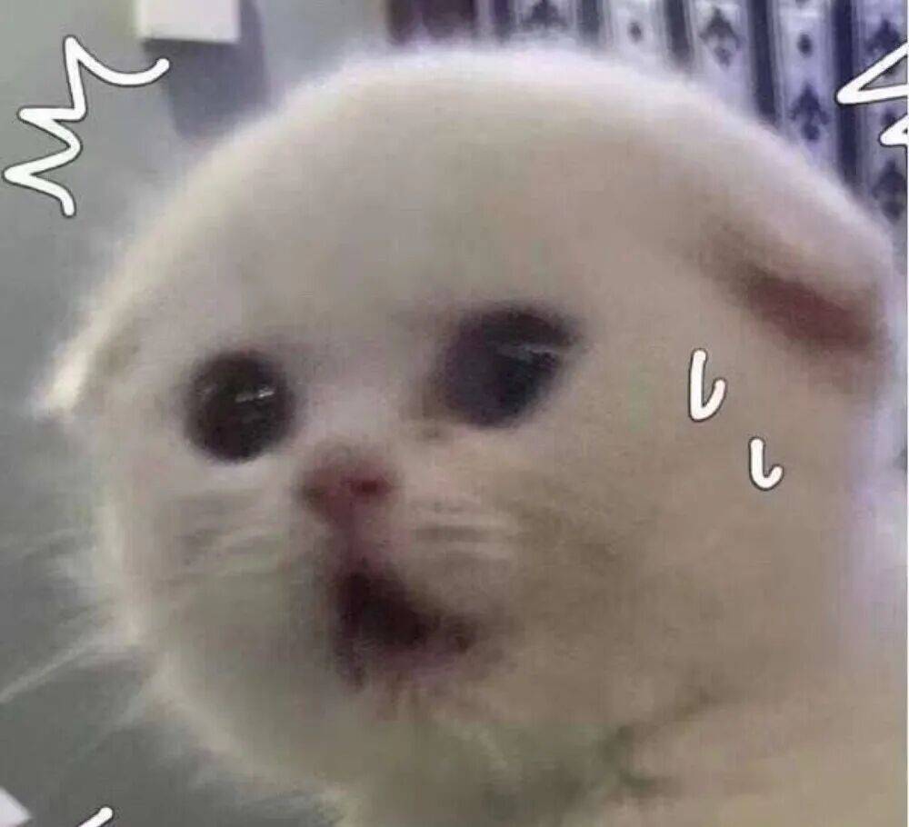 皇冠信用盘如何注册
_上海一对婆媳因阻碍加梯皇冠信用盘如何注册
，与五位邻居“大打出手”！