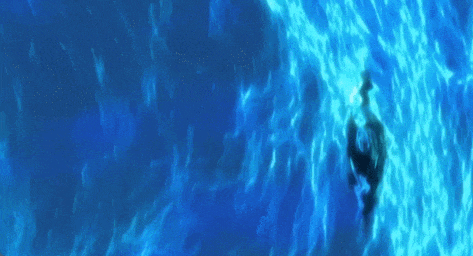 hga035会员注册
_不是慢镜头！福建舰电磁弹射速度那么快hga035会员注册
，是怎么瞬间刹车的？