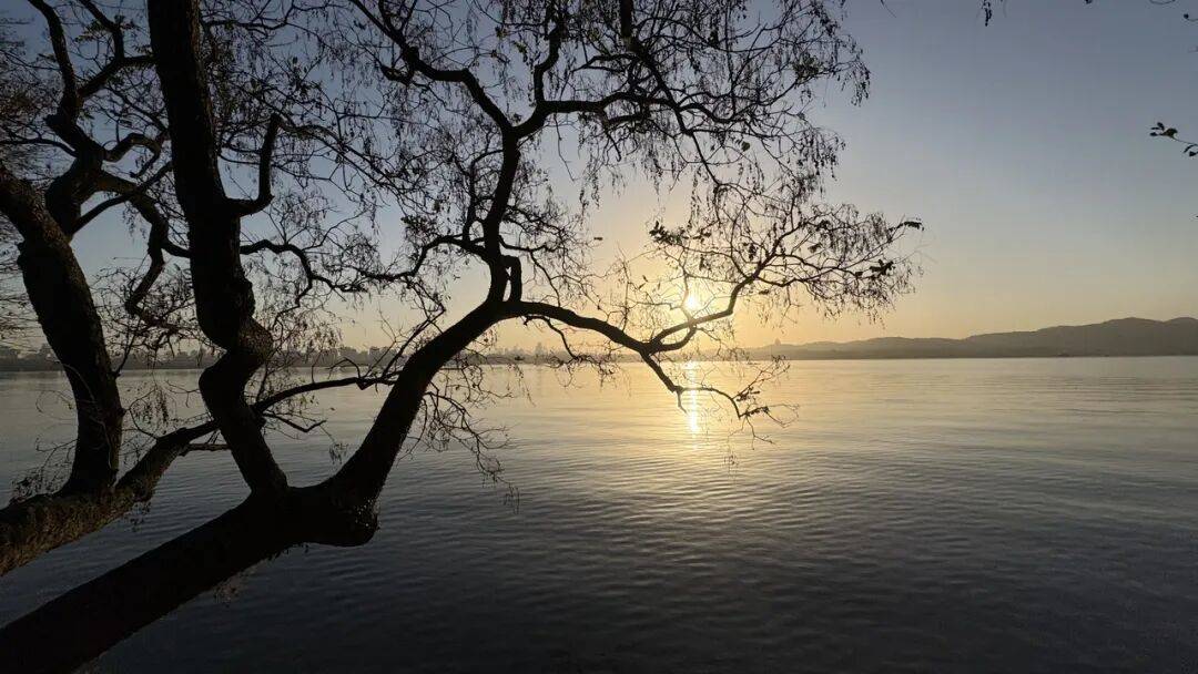 皇冠ag mos011_清晨意外掉入西湖皇冠ag mos011，却被一群人“团宠”！22岁广州姑娘直呼：杭州真好！