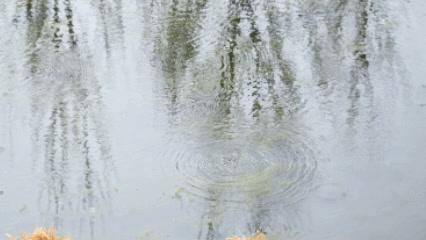 皇冠信用网最高占成_“挺壮观皇冠信用网最高占成,好像水被煮开了”!时隔30余年,顺义箭杆河泉眼复涌