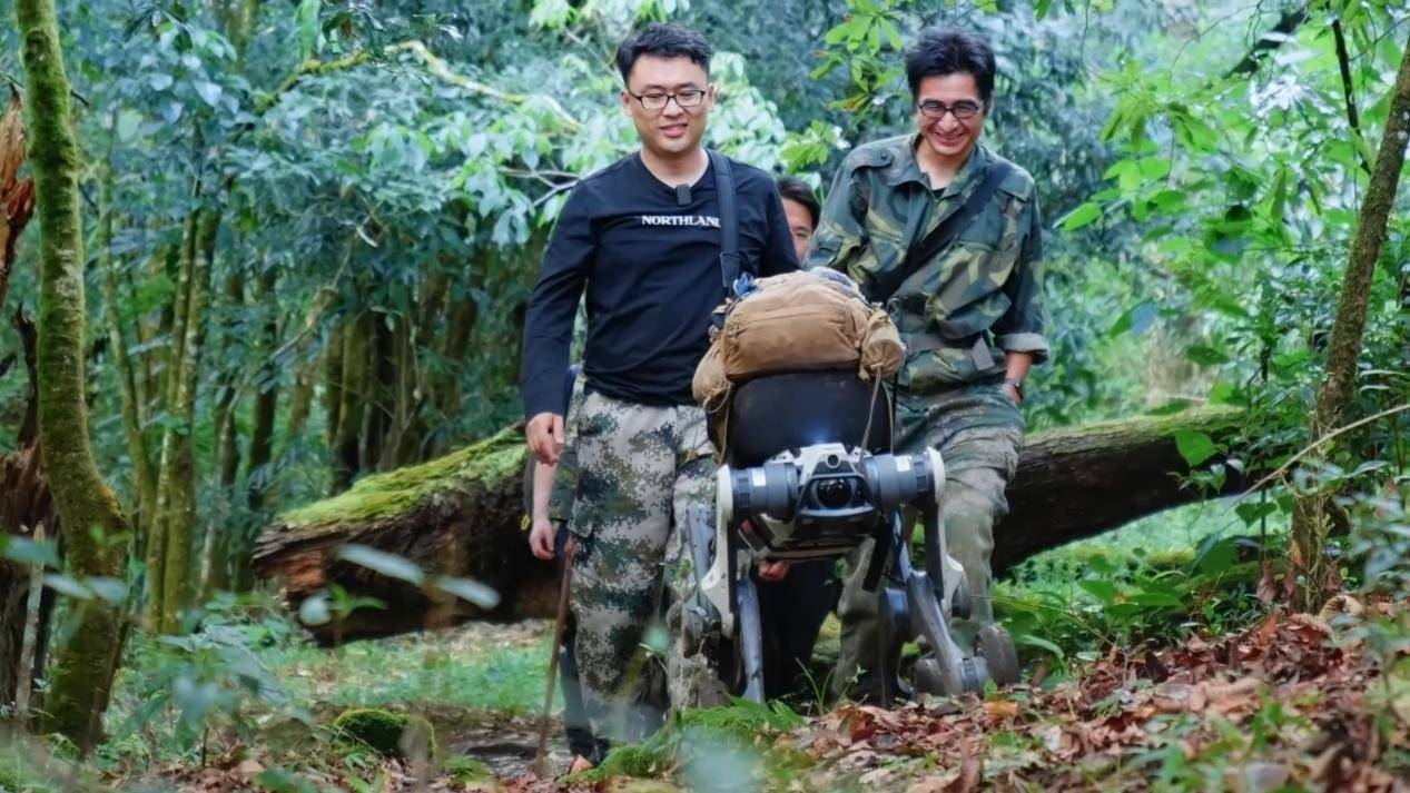 皇冠信用网怎么弄_十里不同天的哀牢山密林里皇冠信用网怎么弄，“机器狗科考队员”拍到了水晶兰